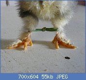 Cliquez sur l'image pour la voir en taille réelle
Nom : p1220611.jpg
Affichages : 1083
Taille : 55,2 Ko
ID : 123176