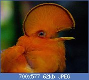 Cliquez sur l'image pour la voir en taille relle

Nom : h9YEcQZmB5hY92XSSkCWnNy4sZY.jpg
Affichages : 2038
Taille : 62,4 Ko
ID : 123198