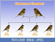 Cliquez sur l'image pour la voir en taille relle

Nom : Corona X Consort.jpg
Affichages : 271
Taille : 87,6 Ko
ID : 37449