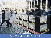 Cliquez sur l'image pour la voir en taille relle

Nom : amateurgrandplacebruxelles.jpg
Affichages : 325
Taille : 199,9 Ko
ID : 38518