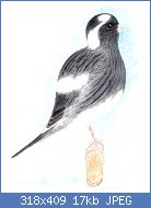 Cliquez sur l'image pour la voir en taille r�elle

Nom : Fife%20wh%20blk%20paint.jpg
Affichages : 584
Taille : 17,0 Ko
ID : 57756