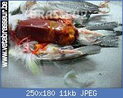 Cliquez sur l'image pour la voir en taille relle

Nom : gouldgregoire (4).jpg
Affichages : 329
Taille : 11,0 Ko
ID : 75283