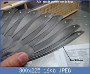 Cliquez sur l'image pour la voir en taille relle

Nom : ailegauchepigeonhaut 33.jpg
Affichages : 1271
Taille : 16,5 Ko
ID : 75328