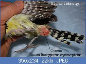 Cliquez sur l'image pour la voir en taille relle

Nom : barbican 34.jpg
Affichages : 322
Taille : 21,9 Ko
ID : 75329