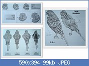 Cliquez sur l'image pour la voir en taille réelle
Nom : parigino AGI.jpg
Affichages : 457
Taille : 99,3 Ko
ID : 76900
