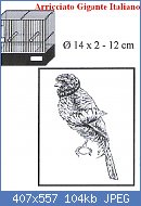 Cliquez sur l'image pour la voir en taille r�elle

Nom : Arricciato Gigante Italiano (AGI).jpg
Affichages : 354
Taille : 104,1 Ko
ID : 76913