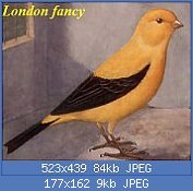 Cliquez sur l'image pour la voir en taille r�elle

Nom : Londonfancy2.jpg
Affichages : 382
Taille : 8,5 Ko
ID : 77488