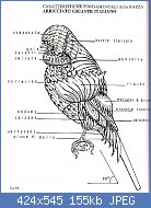 Cliquez sur l'image pour la voir en taille r�elle

Nom : AGI caracteristiques (1).jpg
Affichages : 293
Taille : 155,4 Ko
ID : 78340