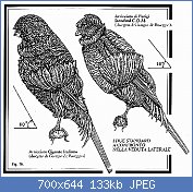 Cliquez sur l'image pour la voir en taille r�elle

Nom : d�tail AGI & Parisien.jpg
Affichages : 905
Taille : 132,6 Ko
ID : 78342