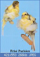 Cliquez sur l'image pour la voir en taille r�elle

Nom : PARISIEN d�tails.jpg
Affichages : 263
Taille : 266,0 Ko
ID : 78343