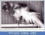 Cliquez sur l'image pour la voir en taille réelle
Nom : fe07004debaseggioet1.jpg
Affichages : 2333
Taille : 207,8 Ko
ID : 78349