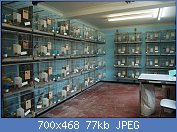 Cliquez sur l'image pour la voir en taille relle

Nom : installation d elevage - Kweekruimte.jpg
Affichages : 1386
Taille : 76,9 Ko
ID : 78363