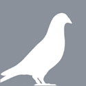 Nom : 11-PigeonsSQR.jpg
Affichages : 2673
Taille : 2,6 Ko