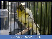 Cliquez sur l'image pour la voir en taille r�elle

Nom : gigant10.jpg
Affichages : 244
Taille : 51,7 Ko
ID : 82682