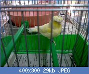 Cliquez sur l'image pour la voir en taille r�elle

Nom : 3019636981_1_3_EQRuWtob[1].jpg
Affichages : 298
Taille : 29,4 Ko
ID : 82774