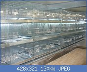 Cliquez sur l'image pour la voir en taille r�elle

Nom : cages de vol.jpg
Affichages : 1557
Taille : 129,8 Ko
ID : 83371