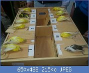 Cliquez sur l'image pour la voir en taille r�elle

Nom : muertos.jpg
Affichages : 353
Taille : 214,8 Ko
ID : 87451