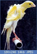 Cliquez sur l'image pour la voir en taille r�elle

Nom : frisedusud.jpg
Affichages : 2708
Taille : 13,6 Ko
ID : 87586