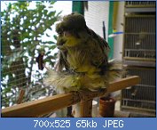 Cliquez sur l'image pour la voir en taille r�elle

Nom : AGI9.jpg
Affichages : 343
Taille : 65,2 Ko
ID : 88261