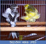 Cliquez sur l'image pour la voir en taille r�elle

Nom : 2061223668_1.jpg
Affichages : 527
Taille : 45,7 Ko
ID : 88268