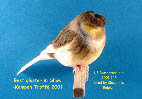 Nom : tbird9.jpg
Affichages : 3015
Taille : 12,7 Ko