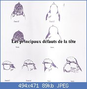 Cliquez sur l'image pour la voir en taille r�elle

Nom : standard_gloster_figure_3.jpg
Affichages : 199
Taille : 88,6 Ko
ID : 88848