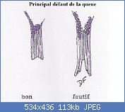 Cliquez sur l'image pour la voir en taille r�elle

Nom : standard_gloster_figure_6.jpg
Affichages : 191
Taille : 113,4 Ko
ID : 88850