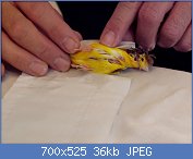 Cliquez sur l'image pour la voir en taille r�elle

Nom : ekthesi015.jpg
Affichages : 188
Taille : 36,0 Ko
ID : 88855