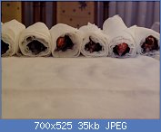 Cliquez sur l'image pour la voir en taille r�elle

Nom : ekthesi024.jpg
Affichages : 205
Taille : 34,5 Ko
ID : 88858