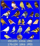 Cliquez sur l'image pour la voir en taille r�elle

Nom : gloster1md9.jpg
Affichages : 187
Taille : 15,9 Ko
ID : 88870