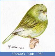 Cliquez sur l'image pour la voir en taille r�elle

Nom : 8920_101129843242020_3255216_n.jpg
Affichages : 2428
Taille : 19,7 Ko
ID : 88878