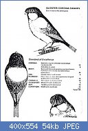 Cliquez sur l'image pour la voir en taille r�elle

Nom : Gloster%20Corona%20Standard%20R.jpg
Affichages : 192
Taille : 54,2 Ko
ID : 88884