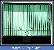 Cliquez sur l'image pour la voir en taille r�elle

Nom : Picture2.jpg
Affichages : 2522
Taille : 78,0 Ko
ID : 88902