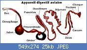 Cliquez sur l'image pour la voir en taille relle

Nom : ada.jpg
Affichages : 2312
Taille : 25,3 Ko
ID : 90351
