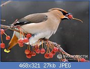 Cliquez sur l'image pour la voir en taille r�elle

Nom : 189044731.jpg
Affichages : 65
Taille : 26,8 Ko
ID : 95646