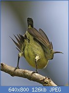 Cliquez sur l'image pour la voir en taille r�elle

Nom : Coitus_sequence_2_-_come_get_me_-_Flickr_-_Lip_Kee.jpg
Affichages : 160
Taille : 125,6 Ko
ID : 95730