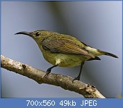 Cliquez sur l'image pour la voir en taille r�elle

Nom : Coitus_sequence_7_-_satisfaction_-_Flickr_-_Lip_Kee.jpg
Affichages : 136
Taille : 49,5 Ko
ID : 95735