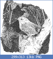 Cliquez sur l'image pour la voir en taille r�elle

Nom : troglodyte.png
Affichages : 122
Taille : 12,7 Ko
ID : 95802