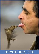 Cliquez sur l'image pour la voir en taille r�elle

Nom : 15-animal-insolite-13.jpg
Affichages : 83
Taille : 15,9 Ko
ID : 95824