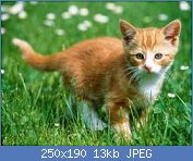 Cliquez sur l'image pour la voir en taille réelle
Nom : 25931.jpg
Affichages : 135
Taille : 13,2 Ko
ID : 95889