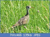 Cliquez sur l'image pour la voir en taille r�elle

Nom : maub�che des champs.jpg
Affichages : 107
Taille : 134,6 Ko
ID : 95894