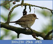 Cliquez sur l'image pour la voir en taille r�elle

Nom : oiseaux-du-jardin-hiver-ftn-f-fl.jpg
Affichages : 1200
Taille : 24,8 Ko
ID : 95981