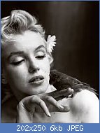 Cliquez sur l'image pour la voir en taille r�elle

Nom : marilyn 2.jpg
Affichages : 95
Taille : 6,3 Ko
ID : 96085