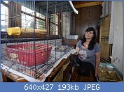 Cliquez sur l'image pour la voir en taille r�elle

Nom : topelement.jpg
Affichages : 151
Taille : 192,9 Ko
ID : 96280