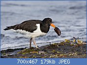 Cliquez sur l'image pour la voir en taille relle

Nom : 13481-1.jpg
Affichages : 520
Taille : 179,2 Ko
ID : 96304