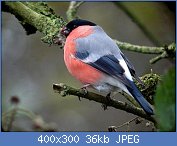 Cliquez sur l'image pour la voir en taille r�elle

Nom : bouveuil pivoine 3.jpg
Affichages : 89
Taille : 35,9 Ko
ID : 96337