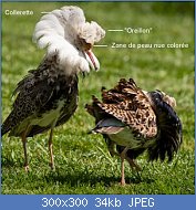 Cliquez sur l'image pour la voir en taille réelle
Nom : 140903d04b0fbe081019-combattants-varies-710x1000.jpg
Affichages : 1752
Taille : 33,9 Ko
ID : 96401