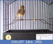 Cliquez sur l'image pour la voir en taille relle

Nom : image (1).jpg
Affichages : 444
Taille : 14,2 Ko
ID : 96713