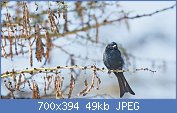 Cliquez sur l'image pour la voir en taille réelle
Nom : PHOf79362ce-d1dc-11e3-9bde-bffab84e49d1-805x453.jpg
Affichages : 130
Taille : 48,5 Ko
ID : 97104