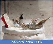 Cliquez sur l'image pour la voir en taille r�elle

Nom : 1024px-Passer_montanus_Baikonur_001.jpg
Affichages : 1143
Taille : 55,5 Ko
ID : 97189